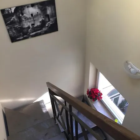 Bed & Breakfast Il Bellino Di Lulu Naples